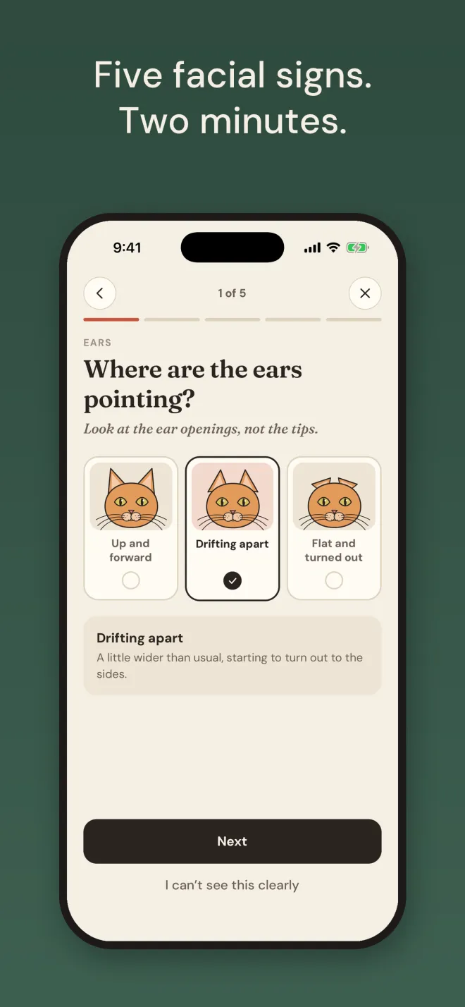 Step 1 of 5 of a face check: where are the ears pointing, with three cat drawings labelled Up and forward, Drifting apart, and Flat and turned out